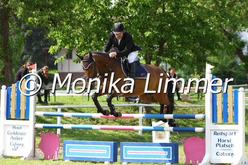 005M6493_Limbo Lady_Springpferde L.JPG